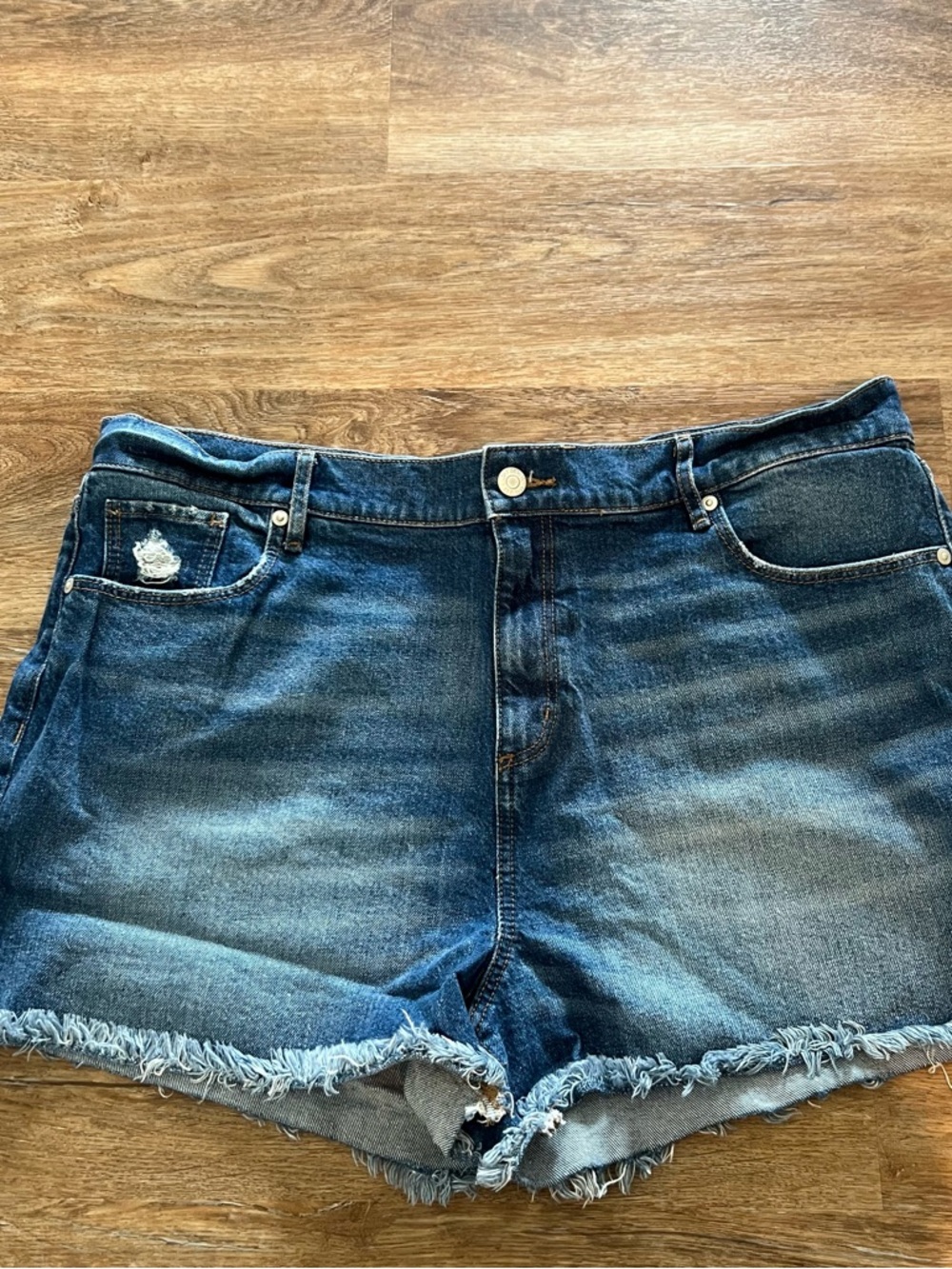 LOFT Denim Frayed Hem Women's Shorts - Blue
